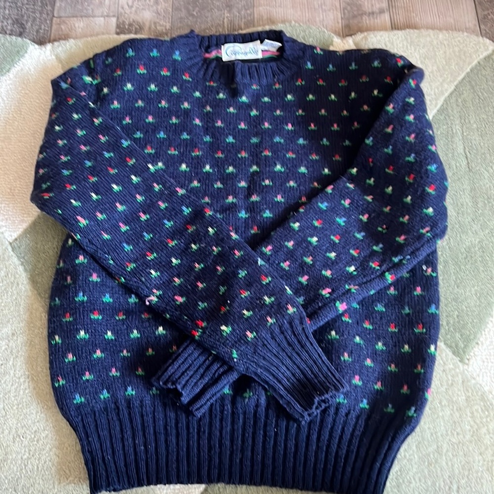 Vintage Cappagallo 100 % Shetland wool sweater. I’m obsessed but it’s too small.